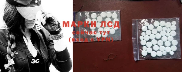 прущий лед Богданович