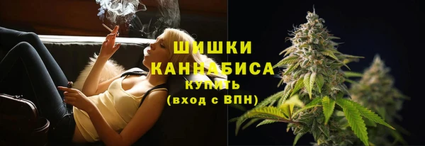 spice Богородск