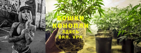 прущий лед Богданович