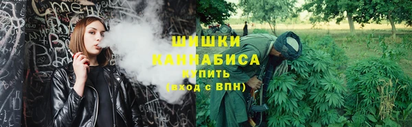spice Богородск