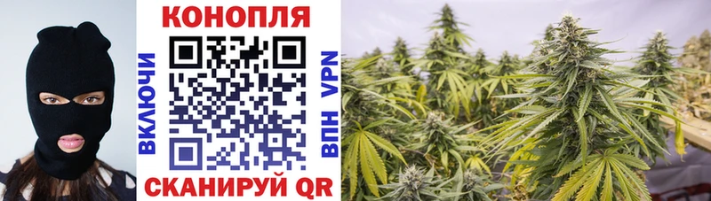 МАРИХУАНА White Widow где купить наркоту Невель